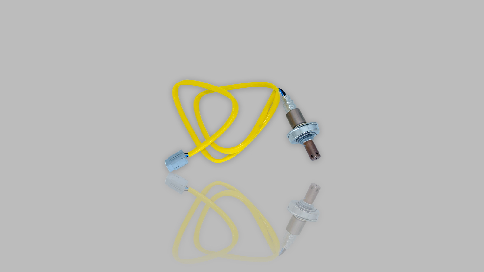 Sensor de Oxigeno