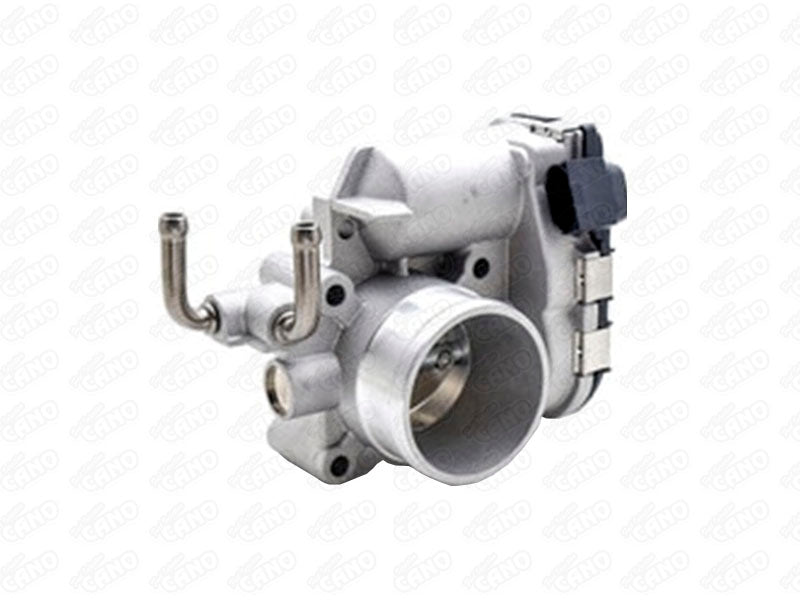 OBTURADOR GREAT WALL VOLEEX C30, C50 | F01R00Y010 (AEPES)