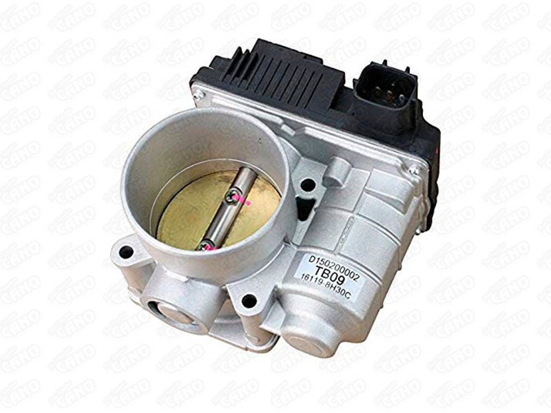 OBTURADOR NISSAN SENTRA, AD QG18 | 16119-8H301 (AEPES)